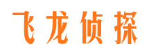 溧水侦探社